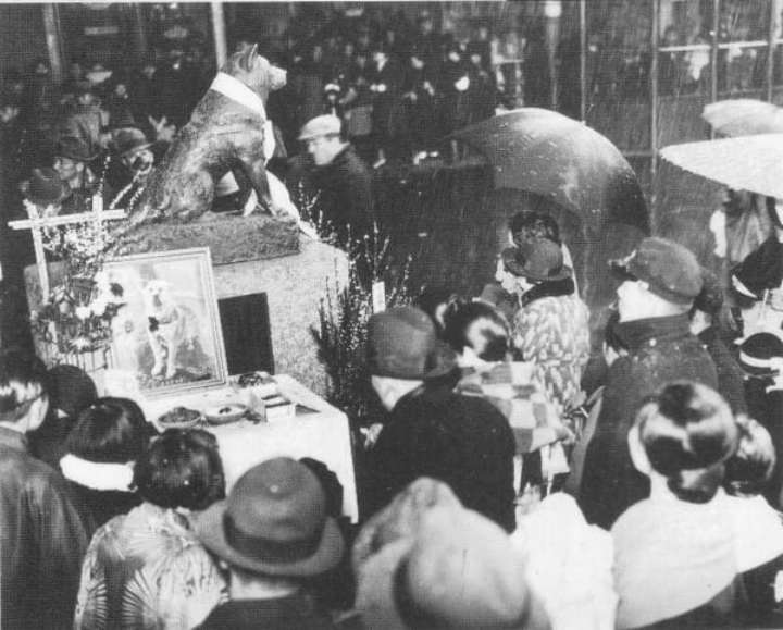 pies-hachiko7x