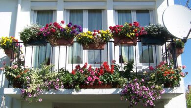 Kolorowe kwiaty na balkon